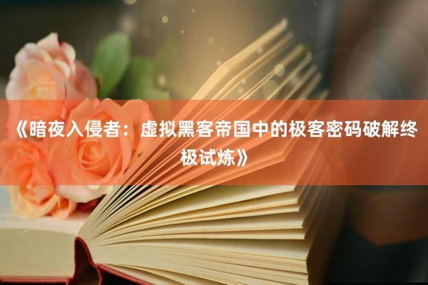 《暗夜入侵者：虚拟黑客帝国中的极客密码破解终极试炼》